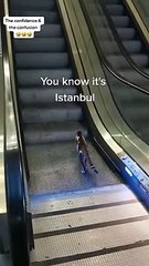 İmamoğlu: İstanbul dünyanın kedi başkentidir