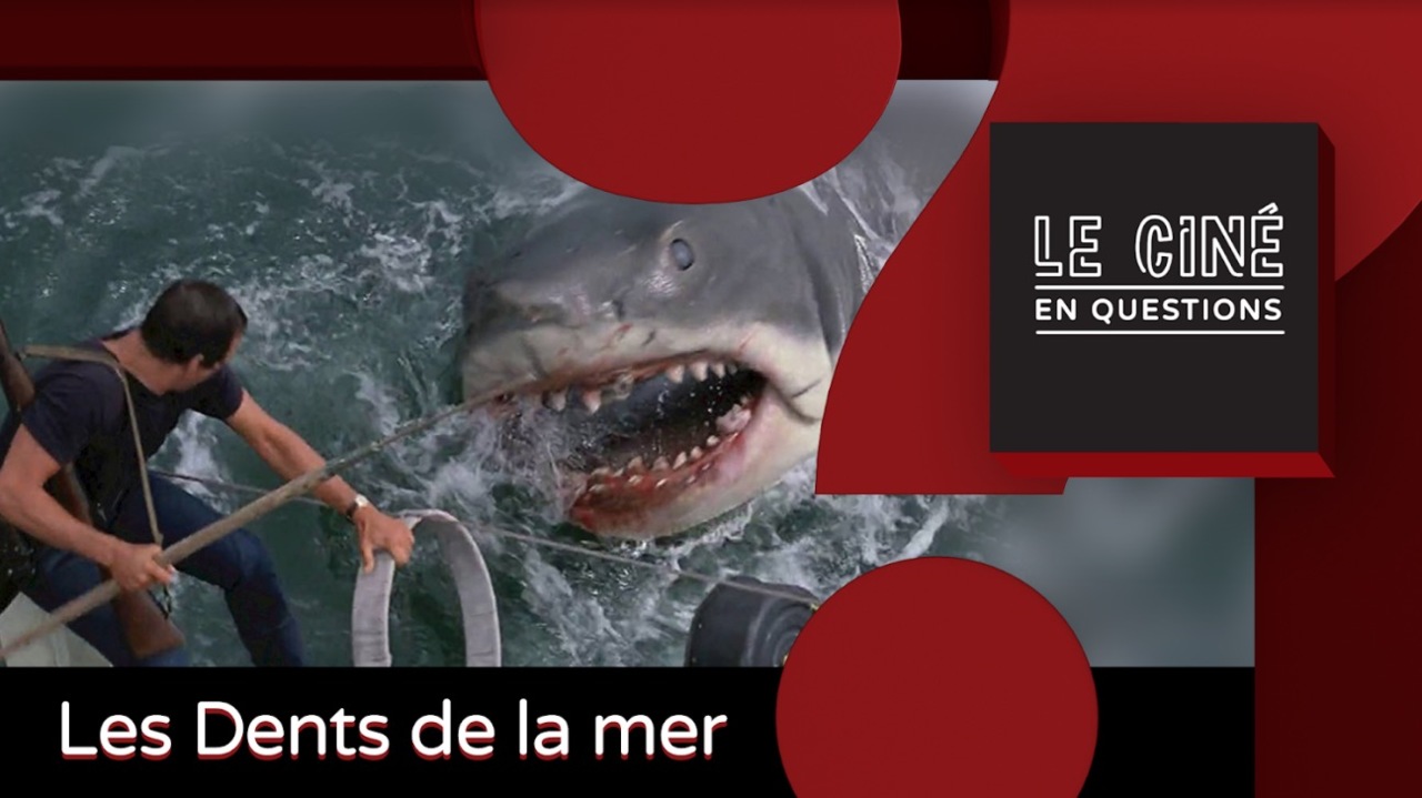 Sac Messager Rétro Jaws - Amity Island - Film Requin, Humour Horreur, Homme