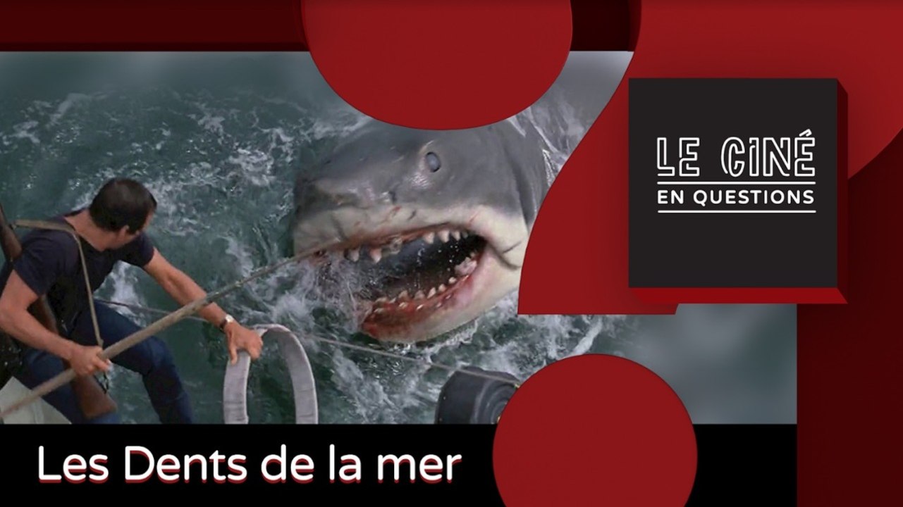 Les dents de la mer : la station balnéaire d'Amity Island existe-t-elle vraiment ?