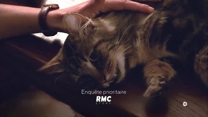 Enquête prioritaire : Vétérinaires très spéciaux, au coeur de l'urgence