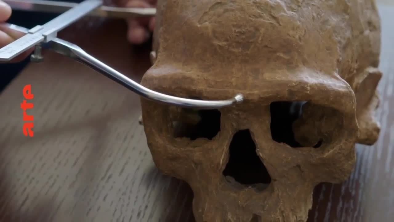 Homo Sapiens, les nouvelles origines - 10 octobre