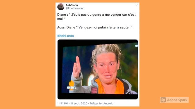 Diane remontée contre Estelle après son élimination surprise de Koh-Lanta, les Twittos la chargent