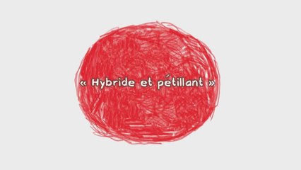 Les nouvelles aventures de Rita et Machin