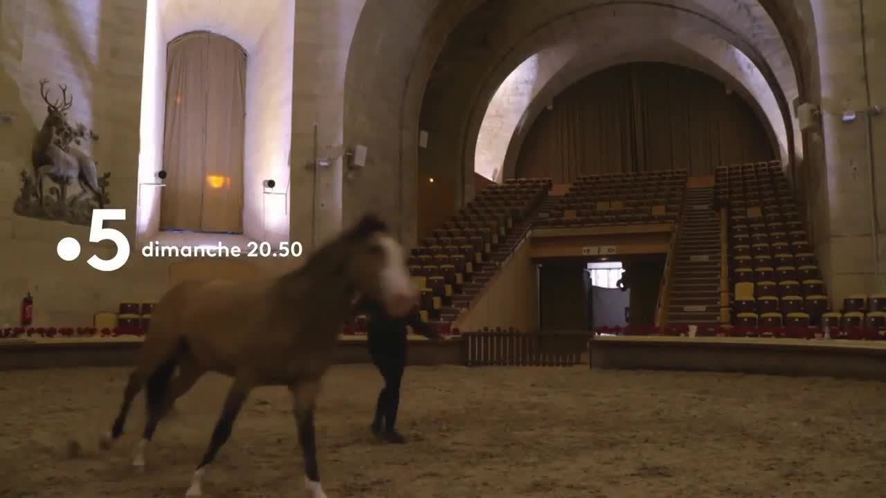 Le château de Chantilly, une histoire française - 20 septembre