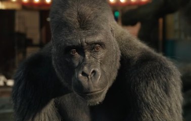 Le Seul et Unique Ivan (Disney +) : bande-annonce