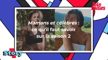 Mamans et célèbres : ce qu'il faut savoir sur la saison 2