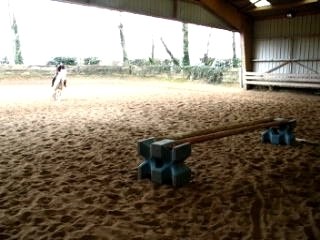 Idalgo, petit oxer...