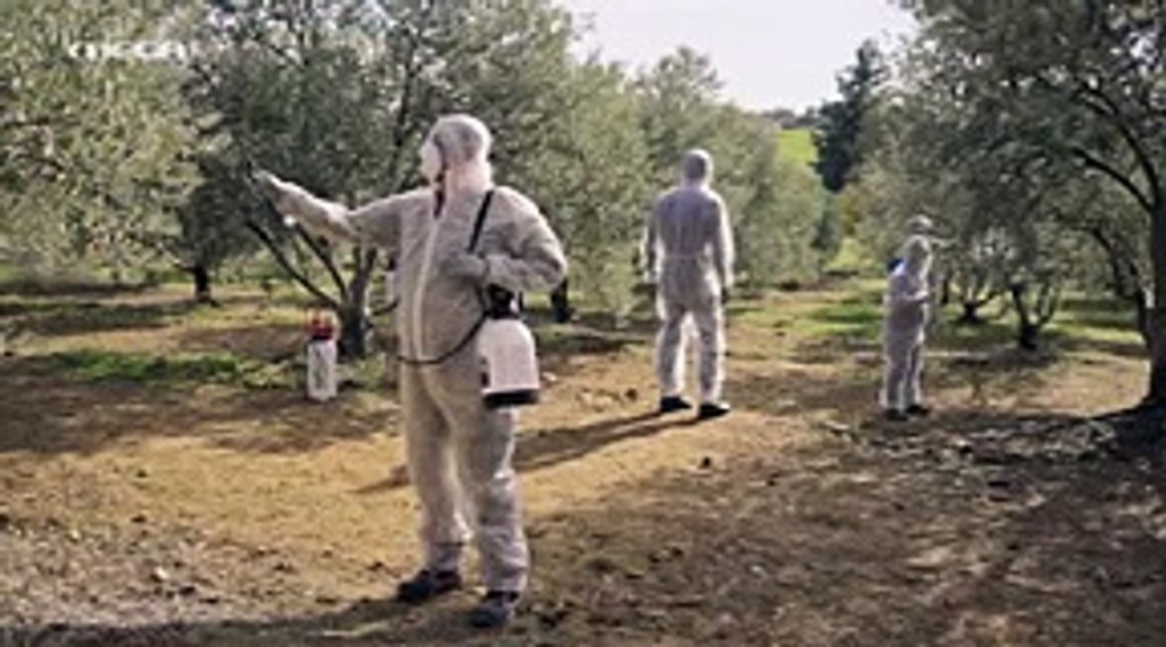 Η Γη της Ελιάς Επεισόδιο 117