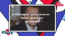 Christophe Dechavanne en deuil : son chien Adeck, que les téléspectateurs connaissaient bien, est mort