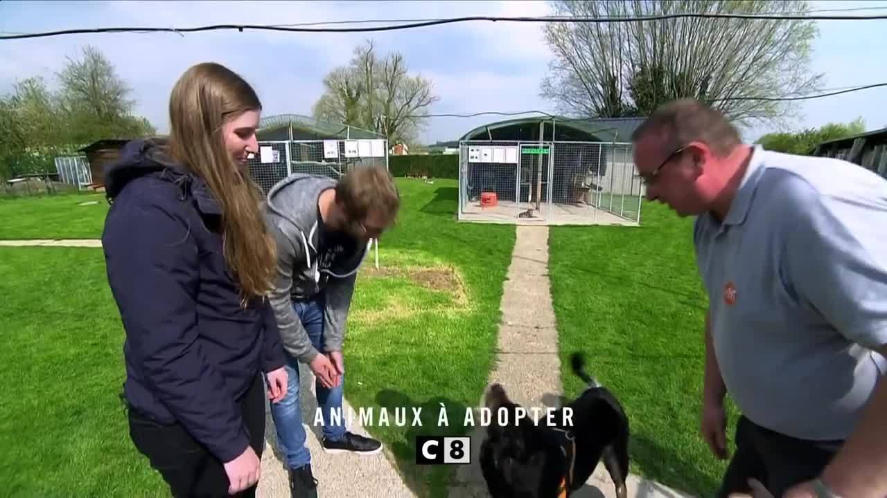 Animaux à adopter - 22 mai