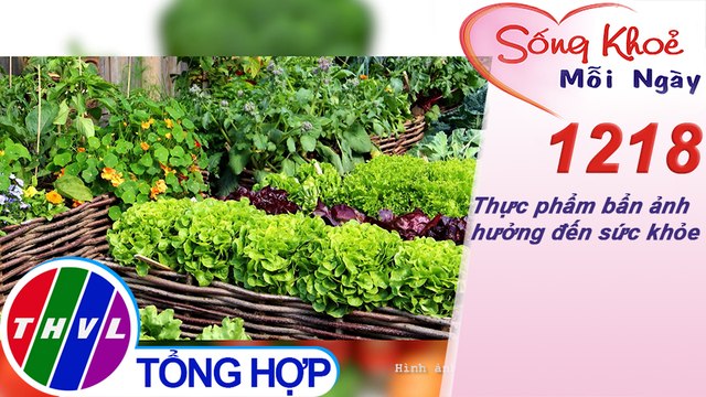 Thực phẩm bẩn ảnh hưởng đến sức khỏe ​| Sống khỏe mỗi ngày - Kỳ 1218