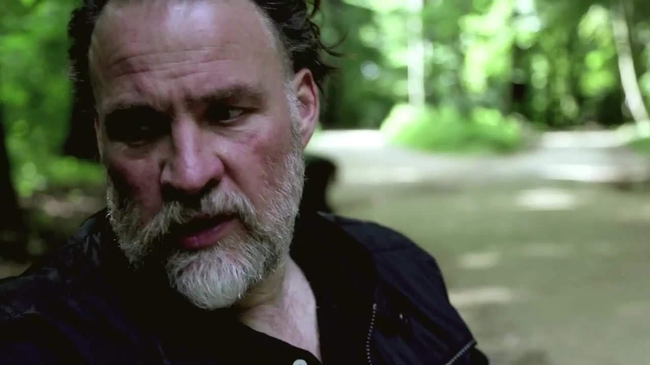 Tous les chats sont gris