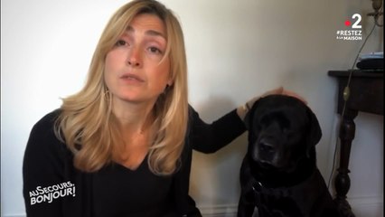 Julie Gayet fait une apparition dans Au secours, bonjour avec Philae