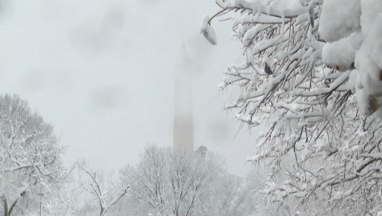Can you spot the monuments? Whiteout conditions blanket the nation's capital