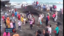Wisata Tanah Lot Ramai Pengunjung
