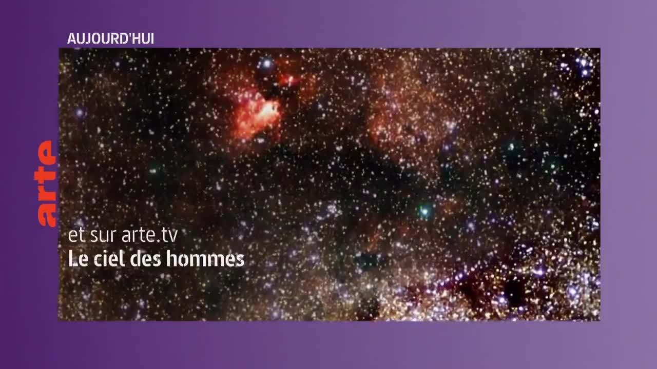 A se brûler les ailes - 22 avril