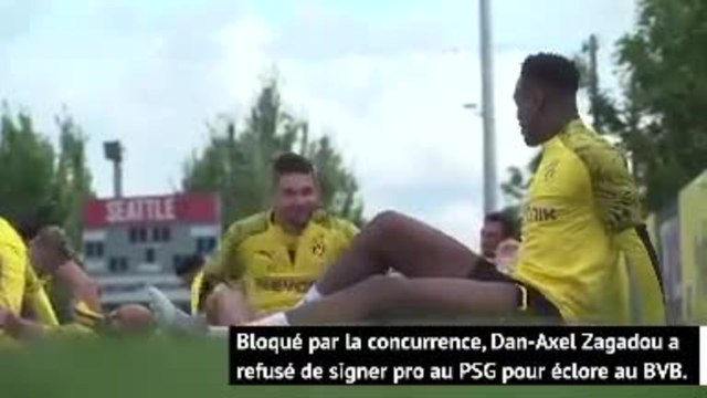 Quand les Titis quittent le nid - Épisode 2, Dan-Axel Zagadou