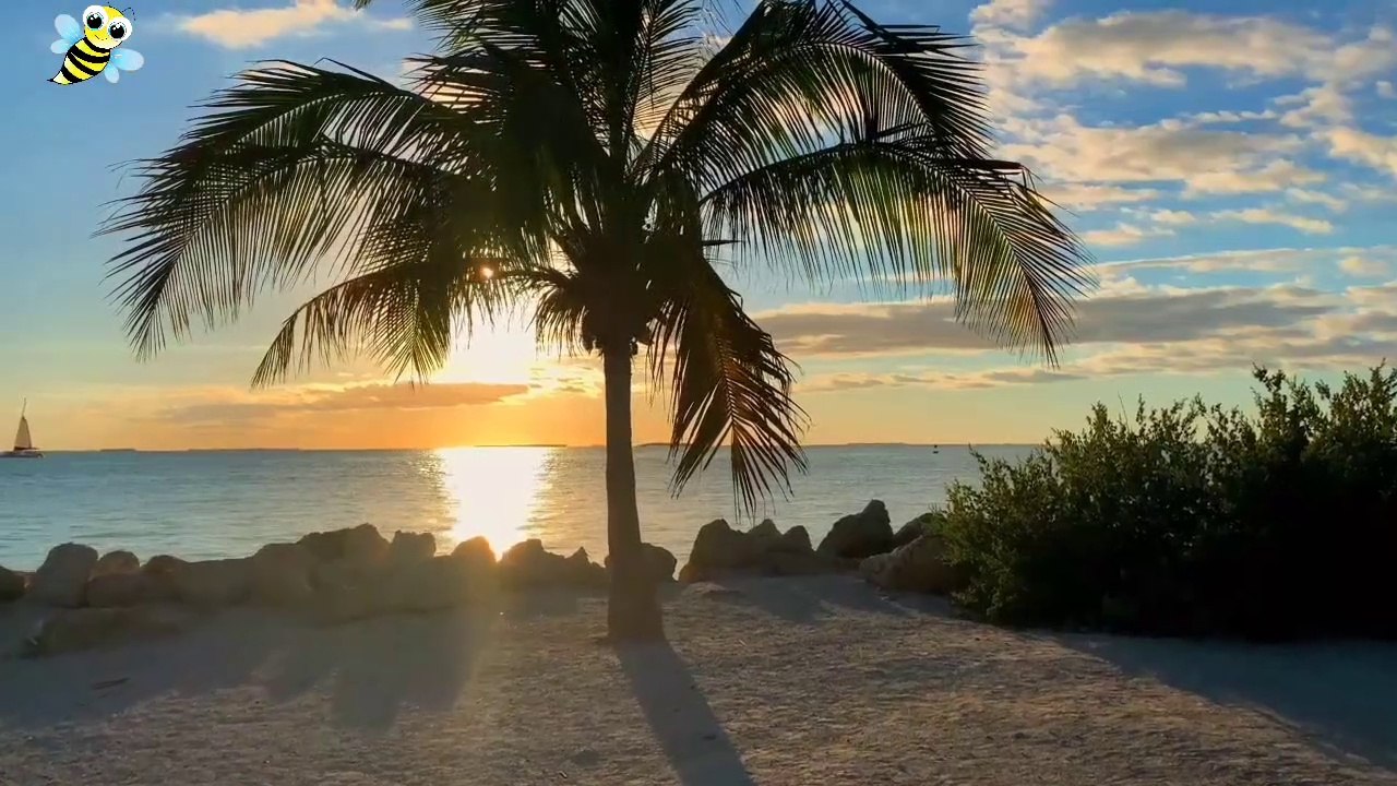 Fun music for relaxation, meditation and deep sleep