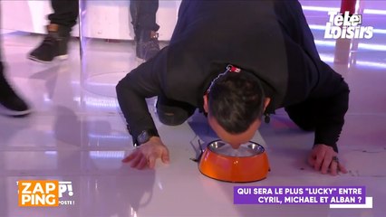 TPMP : pourquoi Cyril Hanouna s'est-il retrouvé en laisse à manger dans une gamelle ?