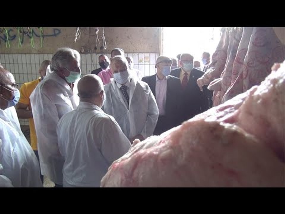 محافظ القاهرة يتفقد استعدادات مجزر البساتين لعيد الأضحى