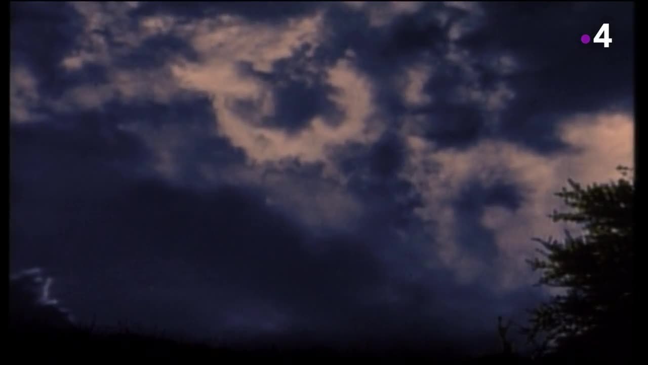 Soda - 29 février
