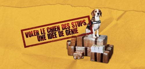 Lucky : la bande-annonce déjantée de cette comédie "stupéfiante"