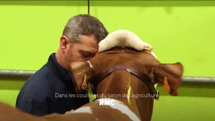 Dans les coulisses du salon de l'agriculture - 19 février