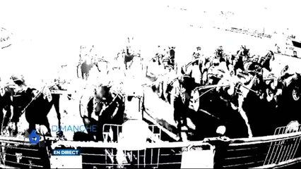 Hippisme : Grand Prix de France