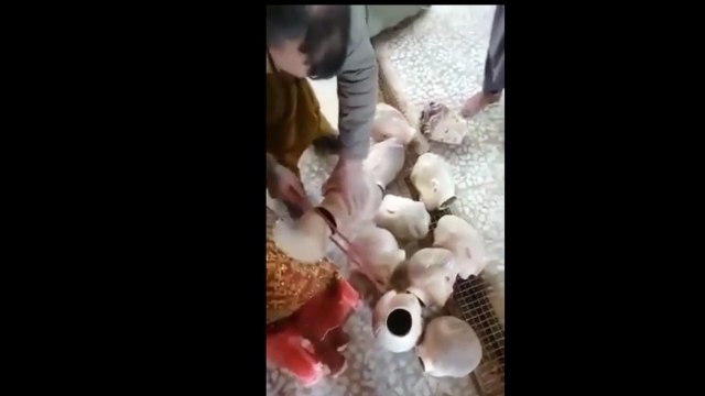 Taliban cansız mankenlerin kafasını kesti