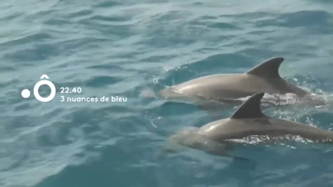 Passion outre-mer : Marion Dufresne + 3 nuances de bleu - 12 janvier