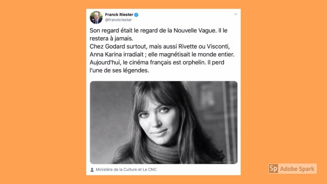 Mort d'Anna Karina : Franck Riester, Pierre Lescure, Gilles Jacob et une foule de cinéphiles lui rendent hommage