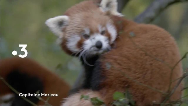 Capitaine Marleau - 25 décembre