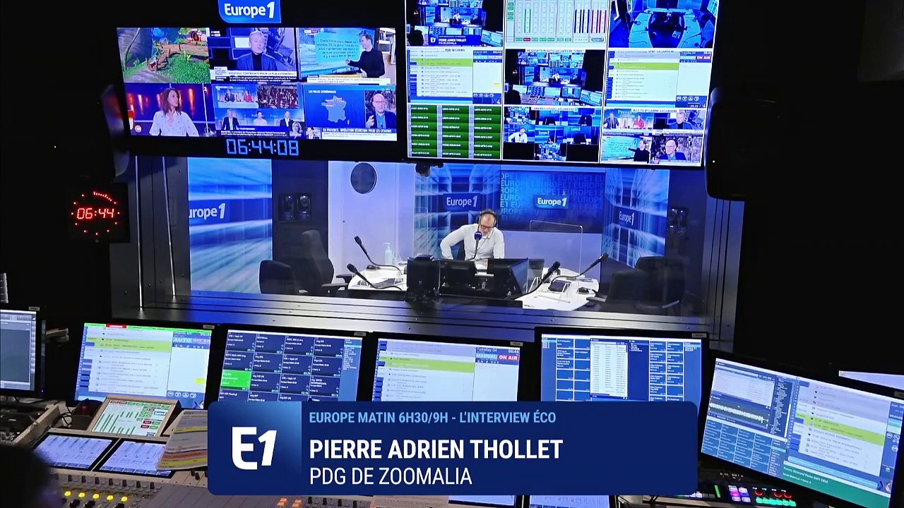 Fin de la vente des chiens et chats dans les animaleries : «Pour nous, ça ne changera pas grand-chose»