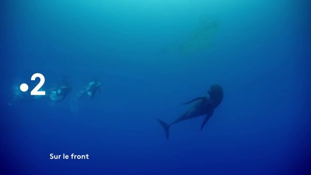 Sur le front - 26 novembre