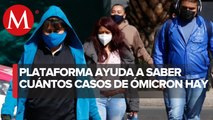 Gracias a la plataforma Gisaid sabemos que se reportan 384 casos de ómicron en México