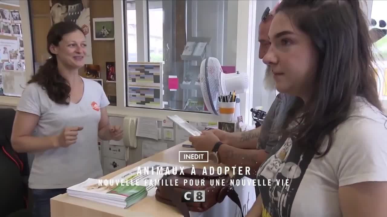 Animaux à adopter : nouvelle famille pour une nouvelle vie - 29 novembre