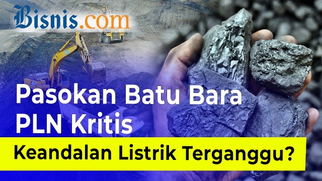 Gaduh Larangan Ekspor Batu Bara, Asosiasi Pertambangan Hingga Kadin Langsung Bereaksi