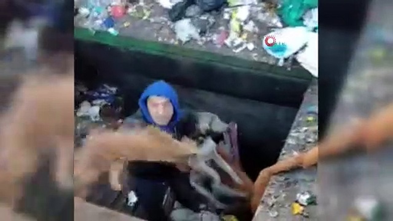 Çöp ayrıştırma makinesine düşen köpek kurtarıldı