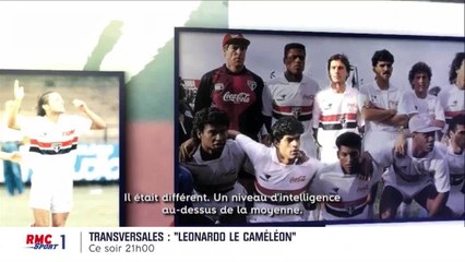 Transversales : Leonardo