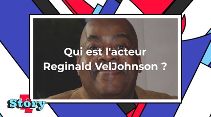 Il faut sauver les chiens de noël : qui est l'acteur Reginald VelJohnson ?