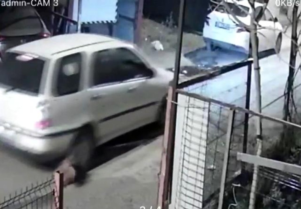 Köpeği ezdi, arkasına bile bakmadan gitti