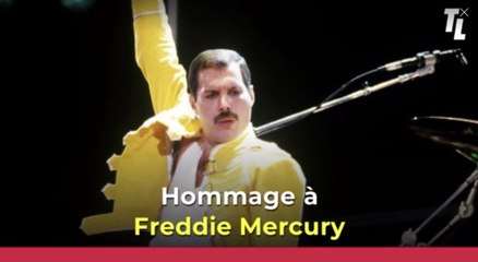 Freddie Mercury : retour sur la carrière du chanteur
