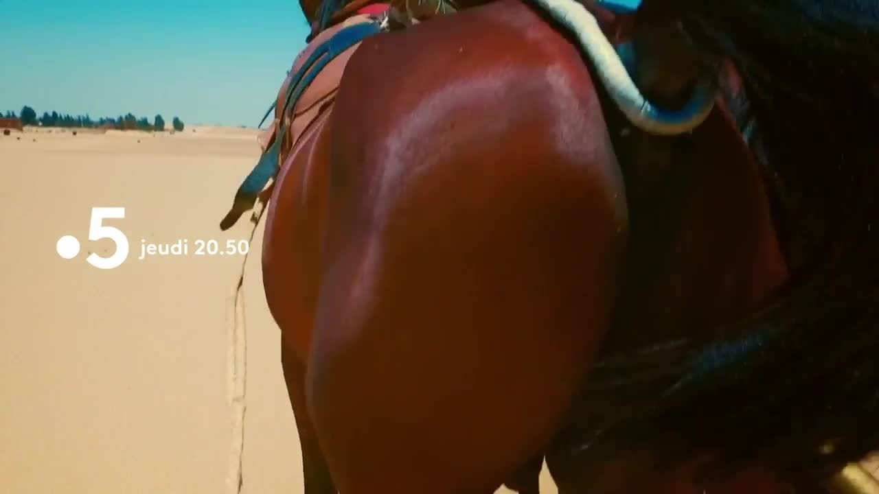 Les secrets du temple d'Abou Simbel - 24 octobre