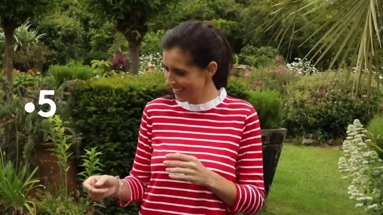 Silence, ça pousse ! - 13 septembre