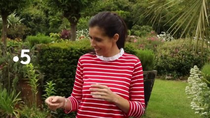 Silence, ça pousse ! - 13 septembre