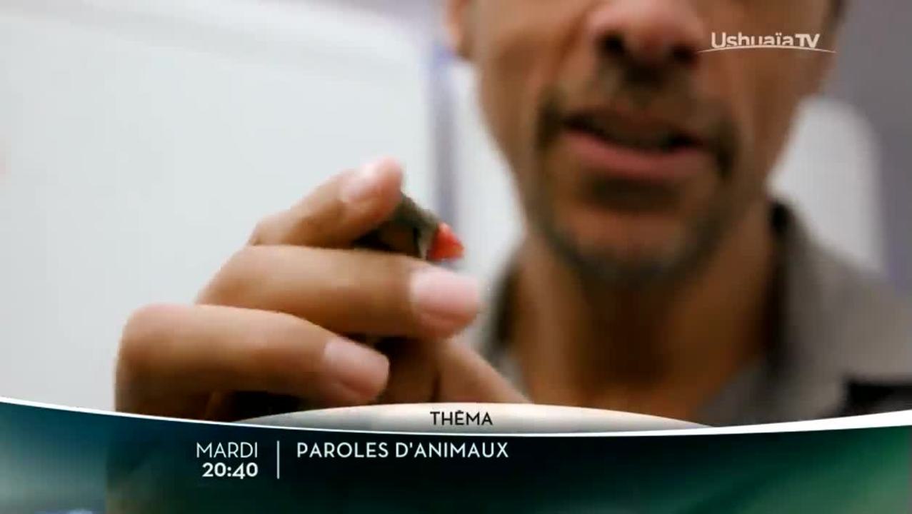 Paroles d'animaux - Oeil pour oeil