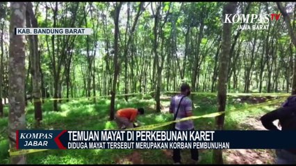 Download Video: Geger! Penemuan Mayat Di Kebun Karet Bandung Barat