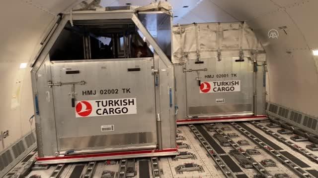 Turkish Cargo, 63 atı ABD'den Türkiye'ye güvenle taşıdı
