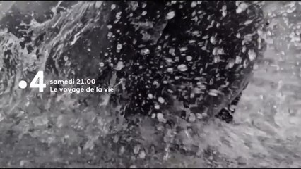 Le voyage de la vie - 28 septembre