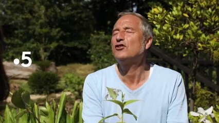 Silence, ça pousse ! - 20 septembre